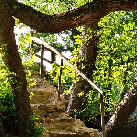 Villa Kuca Za Odmor Ceif Dropci Exterior foto