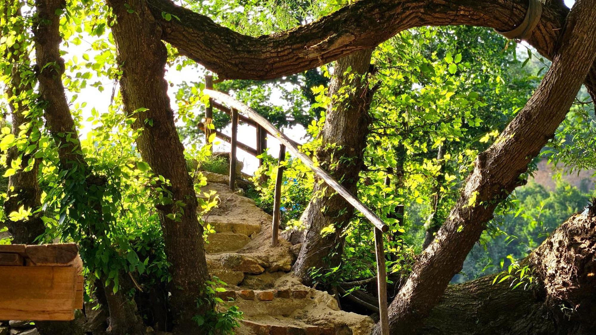 Villa Kuca Za Odmor Ceif Dropci Exterior foto